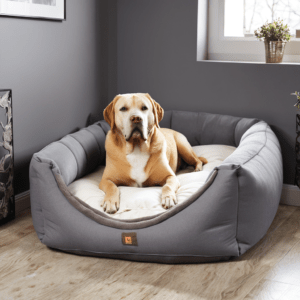 Read more about the article LG Dog Beds Must-Have Upgrade Your Pup’s Sleep Comfort Large